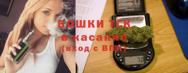 стафф Гусев