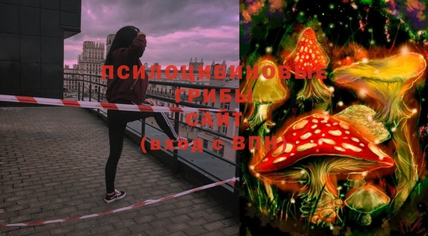 эйфоретик Гусиноозёрск
