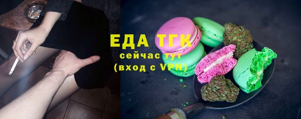 стафф Гусев