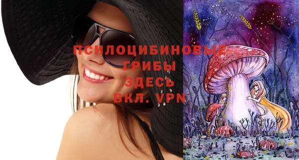 эйфоретик Гусиноозёрск