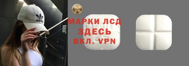 мяу мяу мука Гусь-Хрустальный
