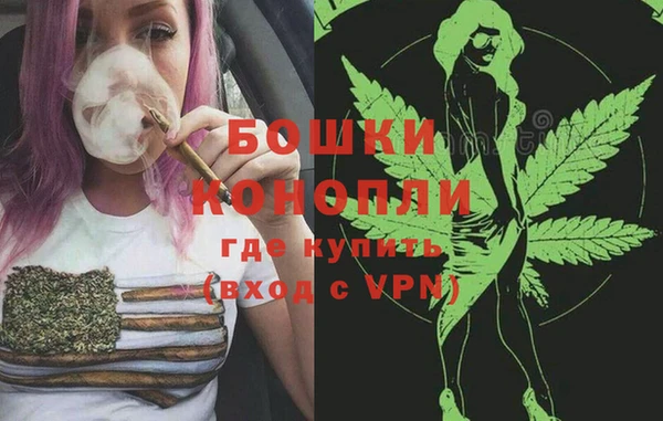 стафф Гусев