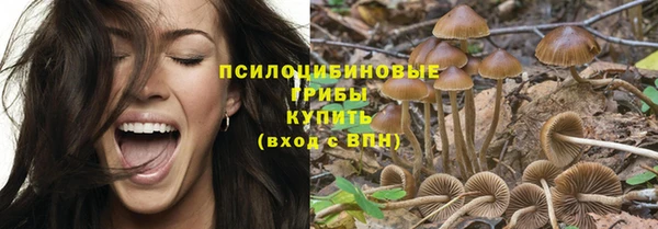 эйфоретик Гусиноозёрск