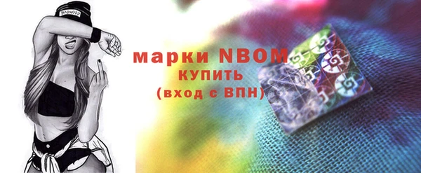 стафф Гусев