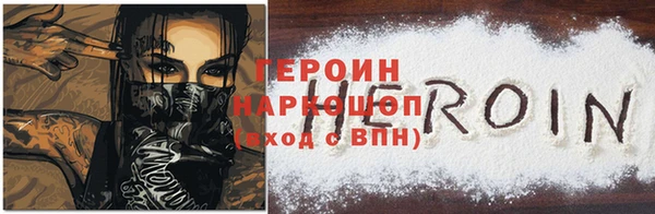 стафф Гусев