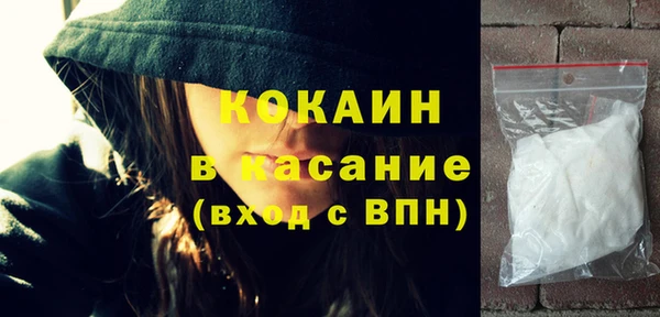 мяу мяу мука Гусь-Хрустальный