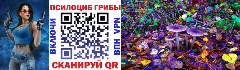 что такое наркотик  Северодвинск  Галлюциногенные грибы Psilocybine cubensis 